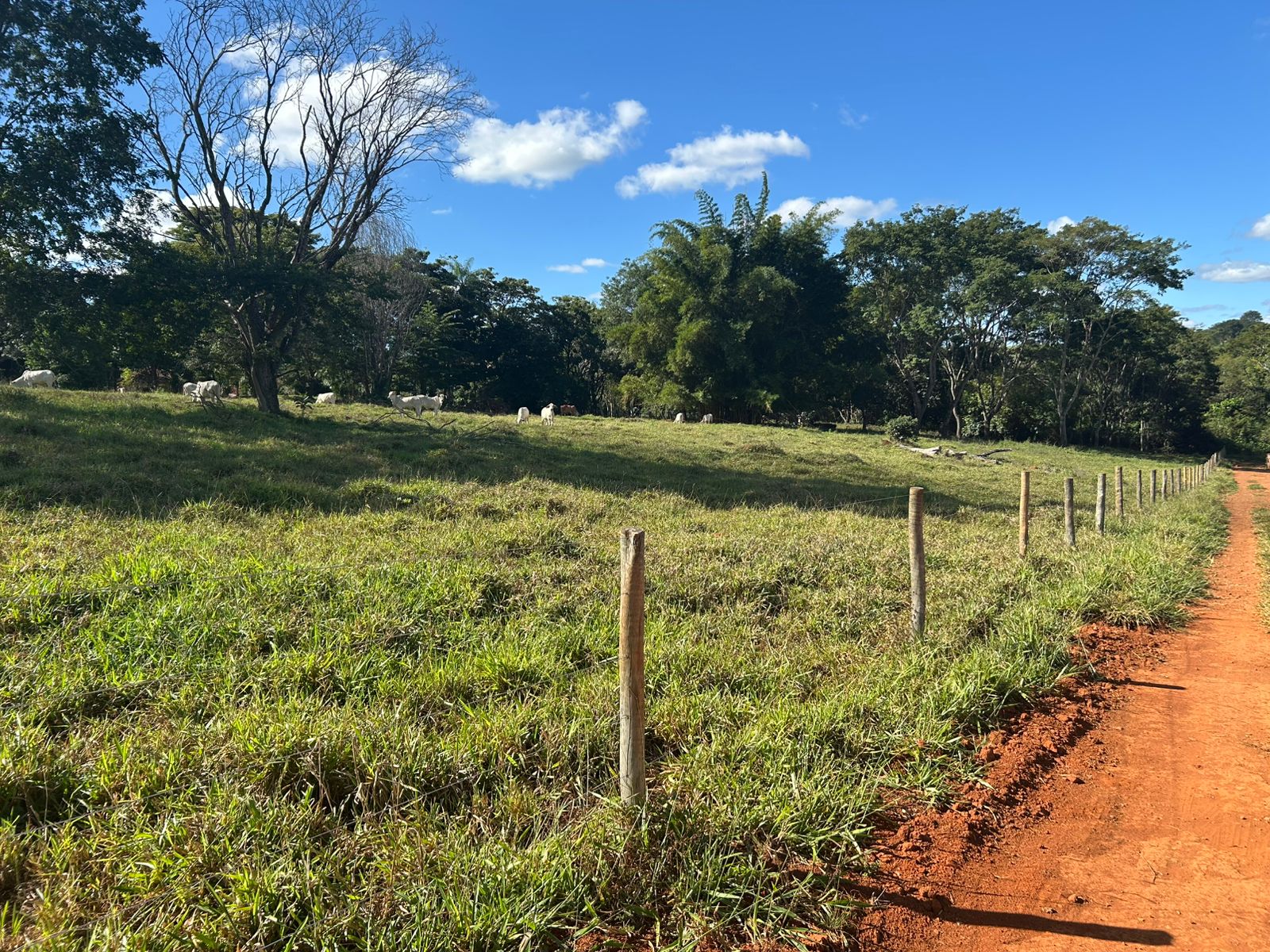 Loteamento Chácaras Eldorado em Goiânia, Goiás
