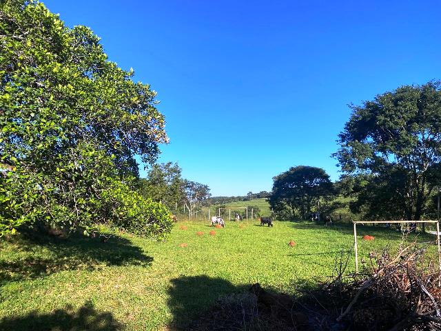 Chacara para Venda em Bonfinopolis, GO