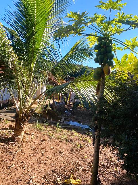 Chacara para Venda em Bonfinopolis, GO