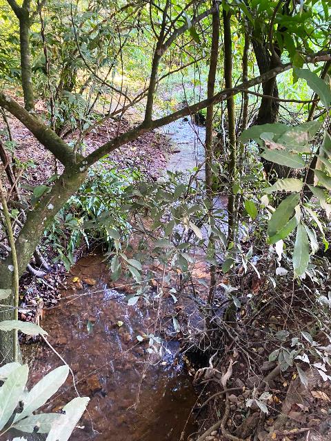 Chacara para Venda em Bonfinopolis, GO