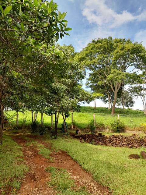 Chácara Para Venda em Bonfinópolis, Goiás