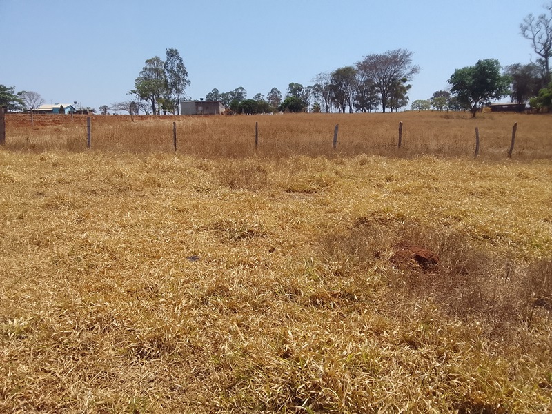 Chácara para Venda em Bonfinópolis (RNS100), Goiás