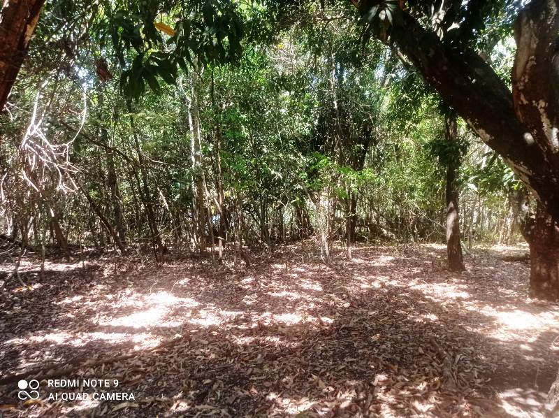 Chácara para Venda em Bonfinópolis (RNS100), Goiás