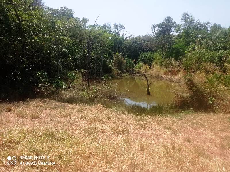 Chácara para Venda em Bonfinópolis (RNS100), Goiás