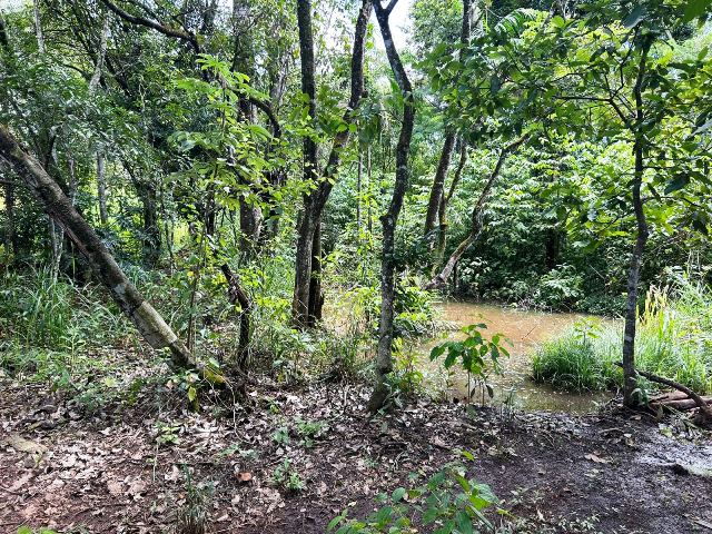 Loteamento Chácaras Paraiso das Águas em Senador Canedo, Goiás