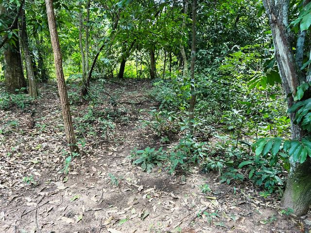 Loteamento Chácaras Paraiso das Águas em Senador Canedo, Goiás