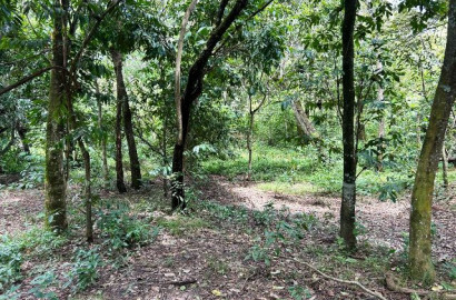 Loteamento Chácaras Paraiso das Águas em Senador Canedo, Goiás