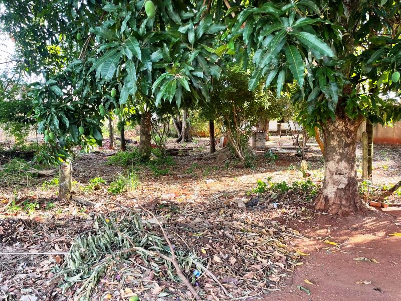 Lotes para Venda em Vila Matinha, Senador Canedo (RNS 247), Goiás
