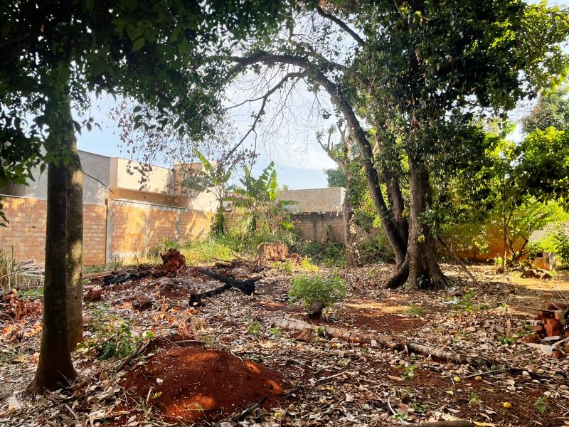 Lotes para Venda em Vila Matinha, Senador Canedo (RNS 247), Goiás