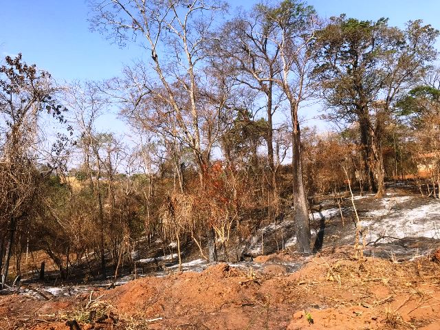 Lotes para Venda em Condominio Ecologico Pouso Alto, Ouro Verde (RNS 250), Goiás