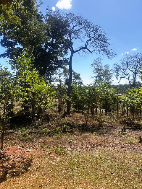Lotes para Venda em Condominio Ecologico Pouso Alto, Ouro Verde (RNS 250), Goiás