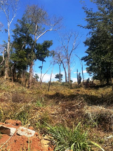 Lotes para Venda em Condominio Ecologico Pouso Alto, Ouro Verde (RNS 250), Goiás