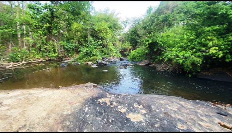 Chácara para Venda em Santa Bárbara (RNS104), Goiás